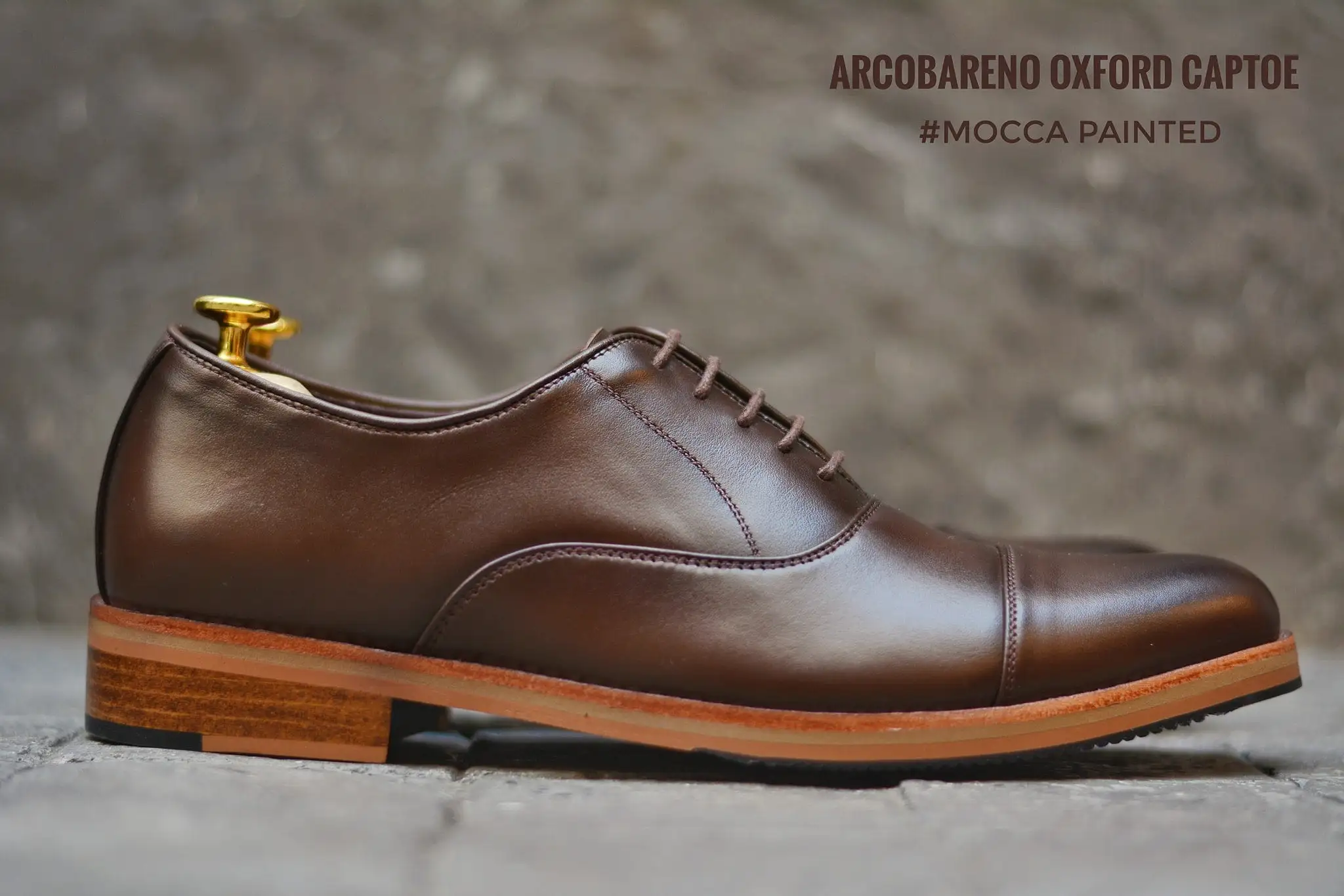 502-1 Oxford Mocha Painted