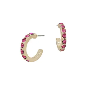 Hot Pink Crystal and Gold Hoop Earring